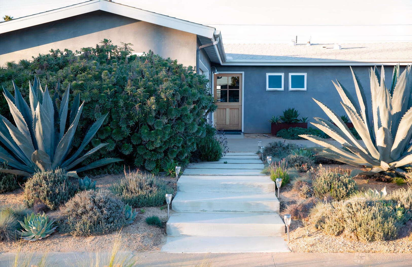 A film and photo studio with a concrete pathway, desert landscaping, and agave plants at This Modern Romance.