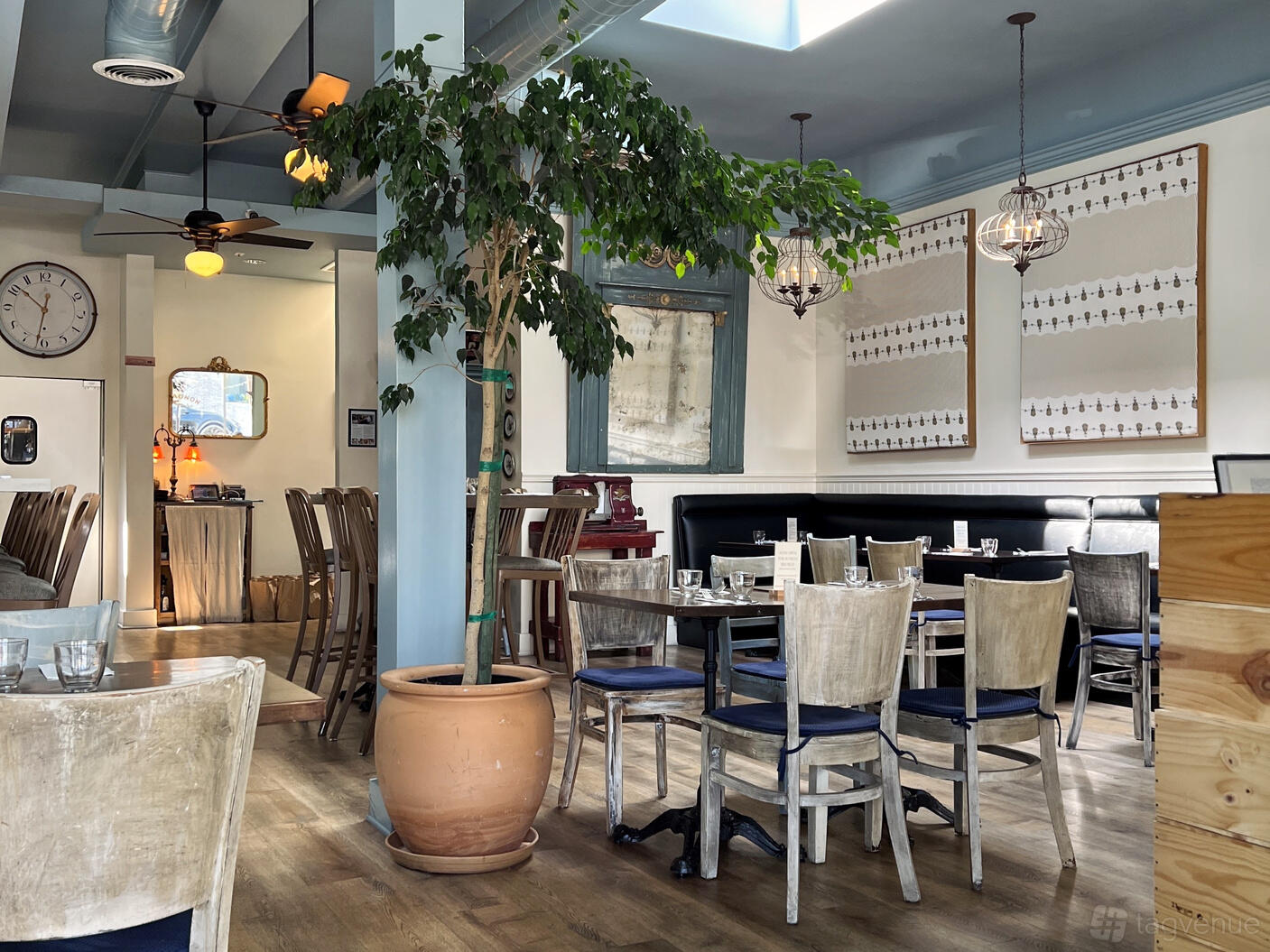 A restaurant dining area with weathered wooden chairs, black cushioned banquette seating, and a large potted tree at COMPAGNON Wine Bistro.