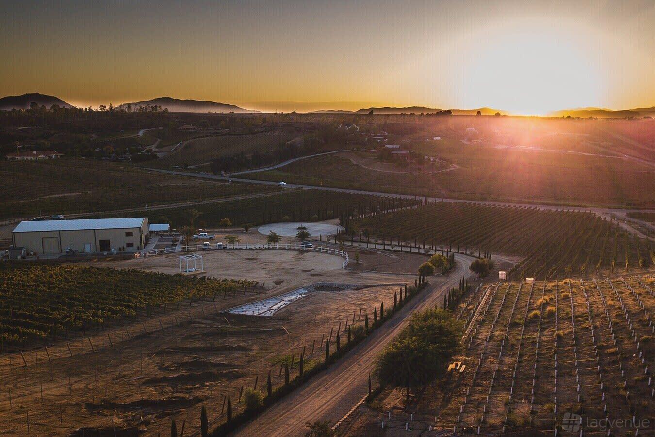 A warehouse set among acres of vineyards and rolling hills at Akash Winery - Temecula.