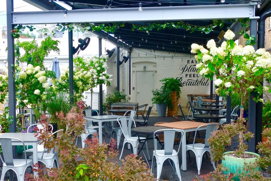 Patio Patio