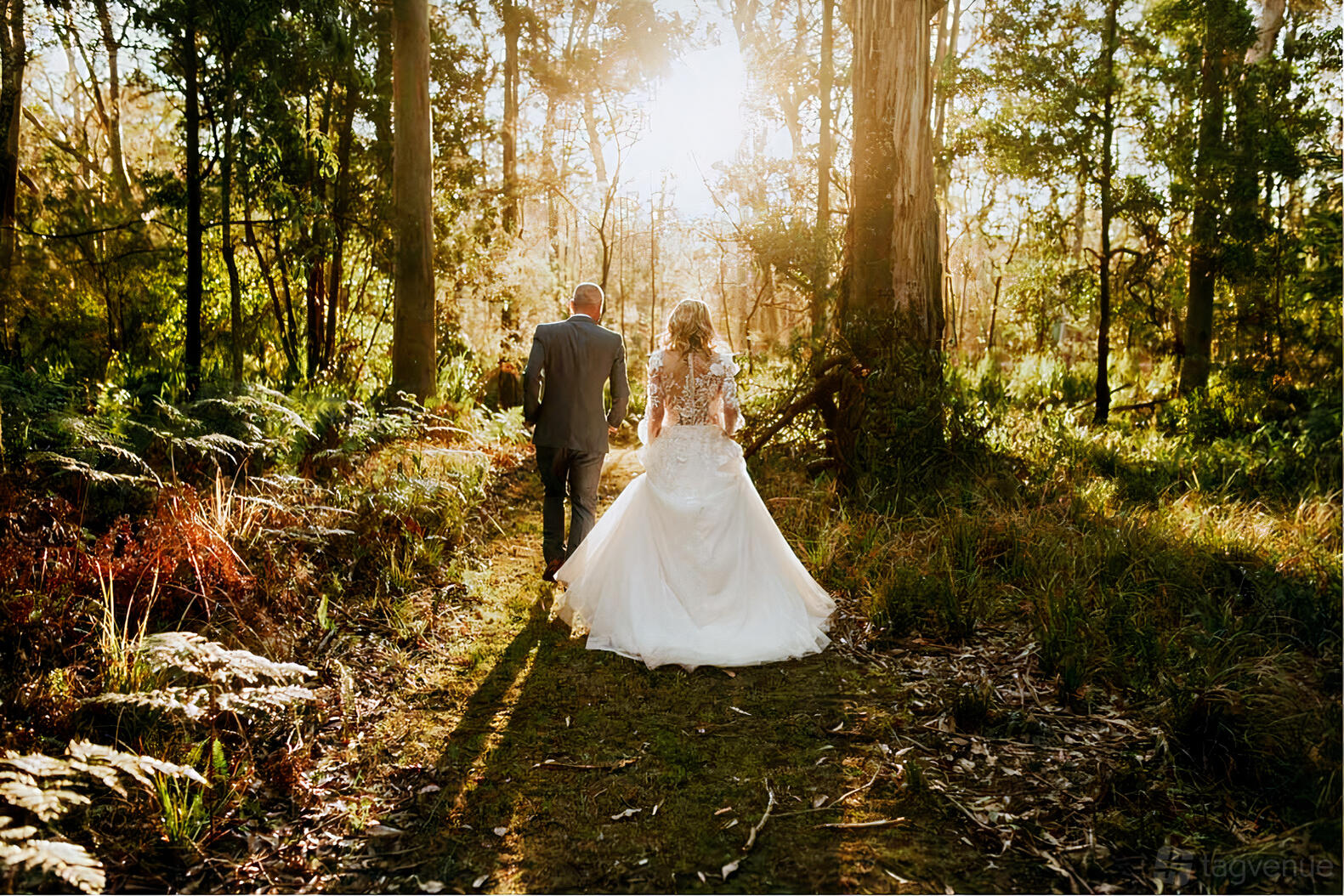 A country house with a sunlit forest path and lush greenery at Bewong River Retreat.
