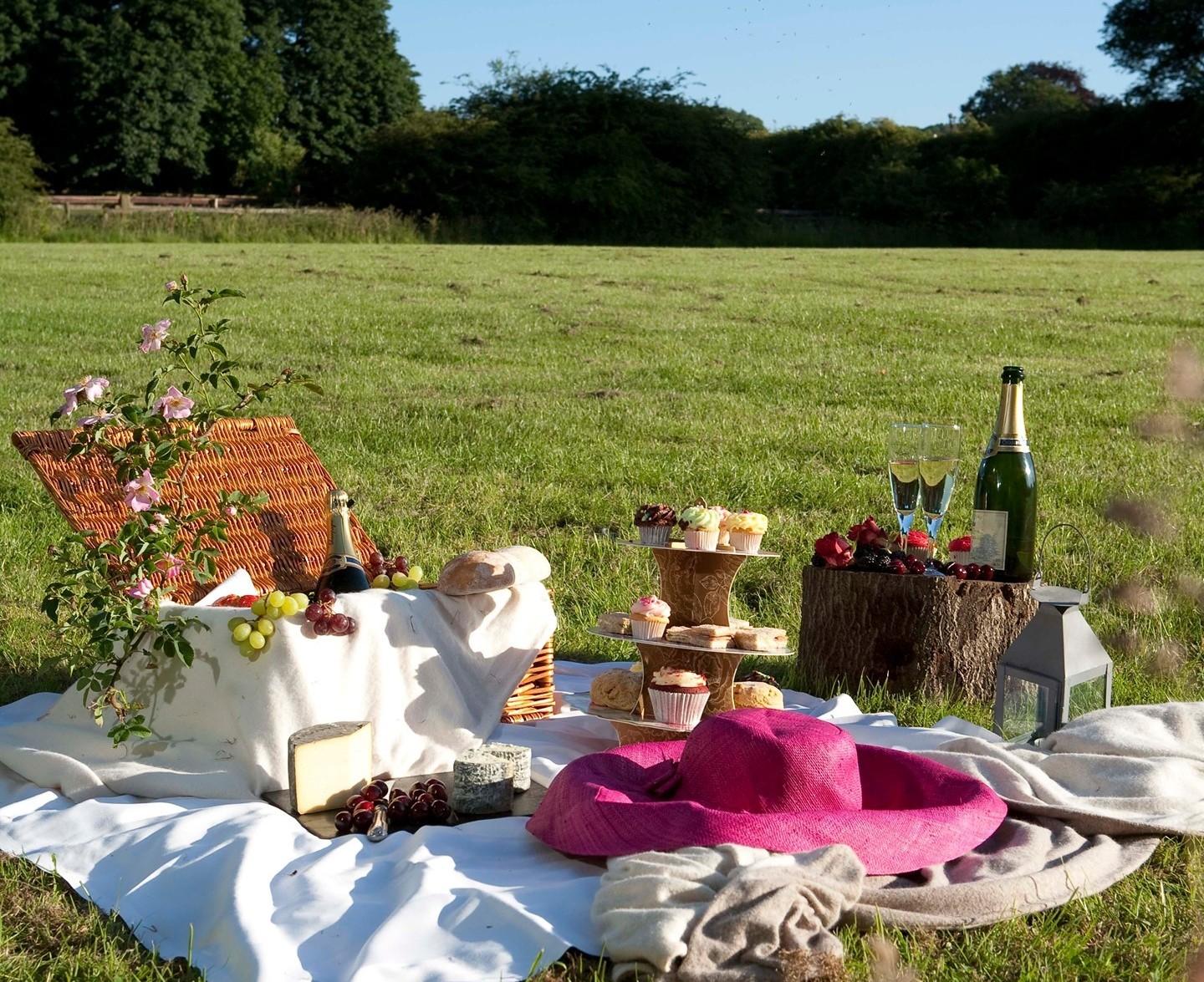 A meadow with a picnic setup featuring a wicker basket, assorted cheeses, cupcakes, fruit, and champagne at Pendley Manor Hotel
