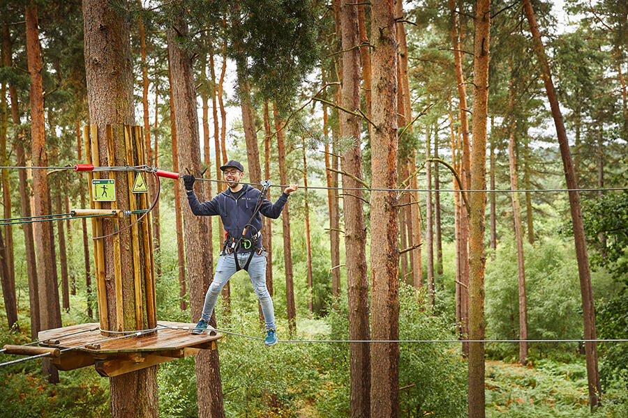 Treetop Challenge at