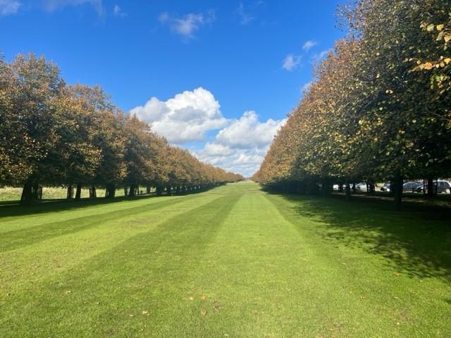An outdoor event lawn with tree-lined walkways and open sky at Hampton Court Palace Golf Club.