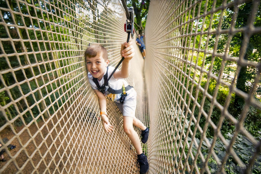 Treetop Adventure at