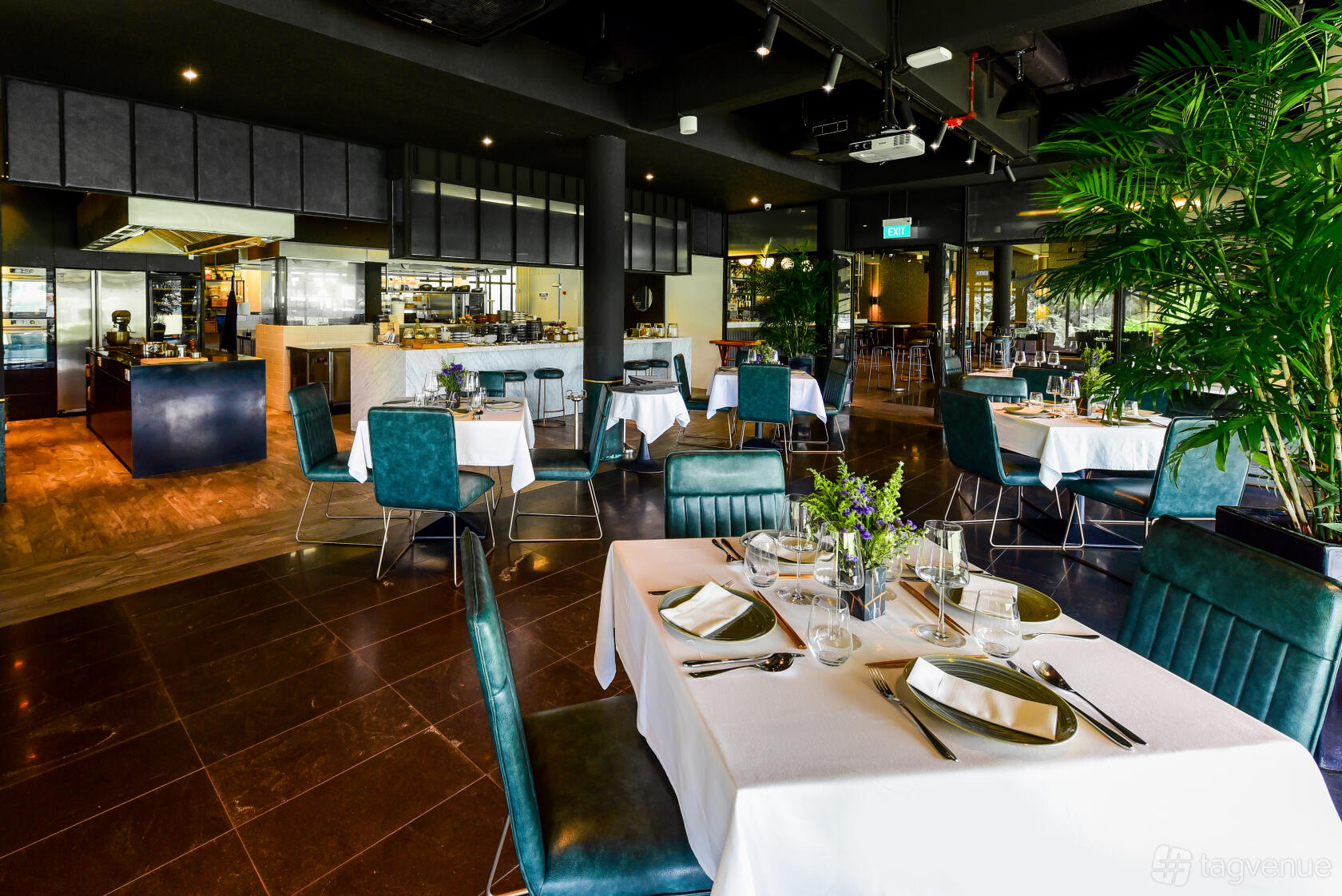 A function room in a restaurant with teal velvet chairs, white-clothed round tables, and potted plants at Coriander Leaf @ Polo Club.
