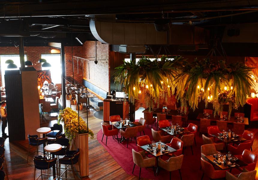 A restaurant with exposed brick walls, hanging greenery with pendant lights, and red upholstered chairs at MPD Caulfield.