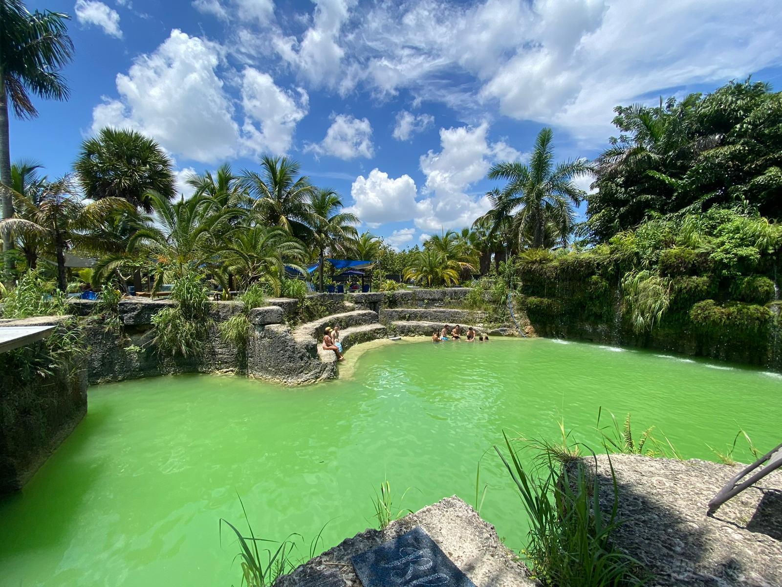 An open air venue with a natural lagoon surrounded by palm trees and stone ledges at Blue Lagoon Farm Miami Venue.
