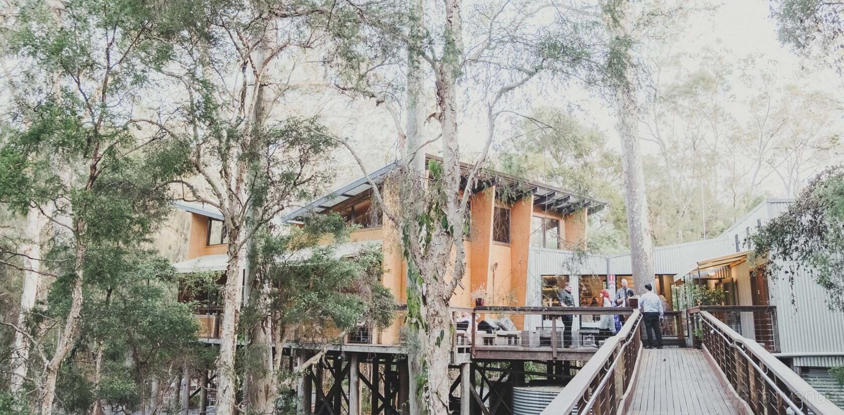 A versatile event space with elevated wooden decks and outdoor seating surrounded by tall trees at Paperbark Camp.
