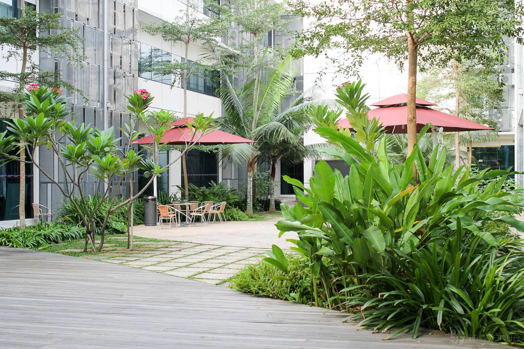 An academic venue courtyard with tropical landscaping, red patio umbrellas, and outdoor seating at ERC Institute.