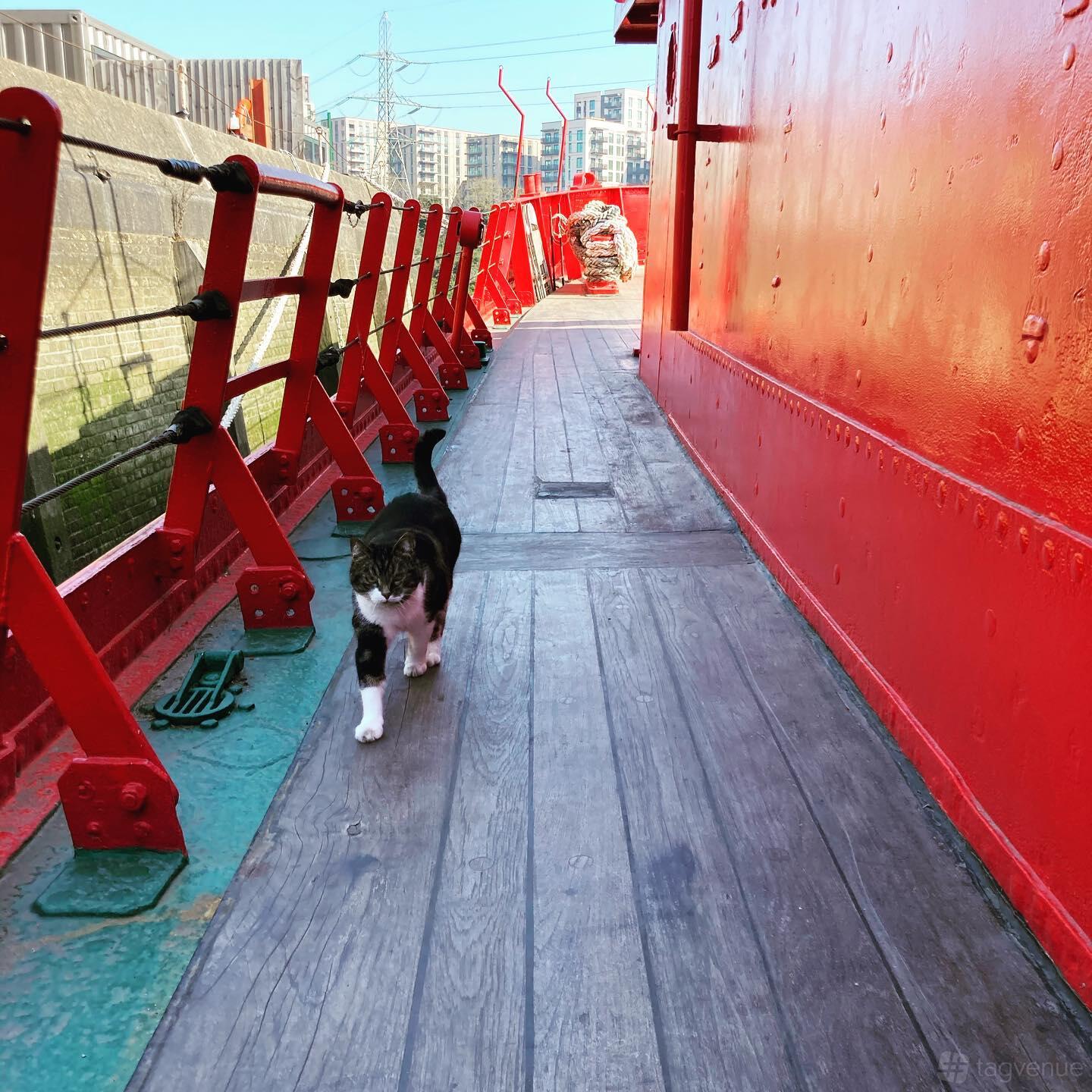 Lightship 95 Venue Hire in London | Photos & Prices