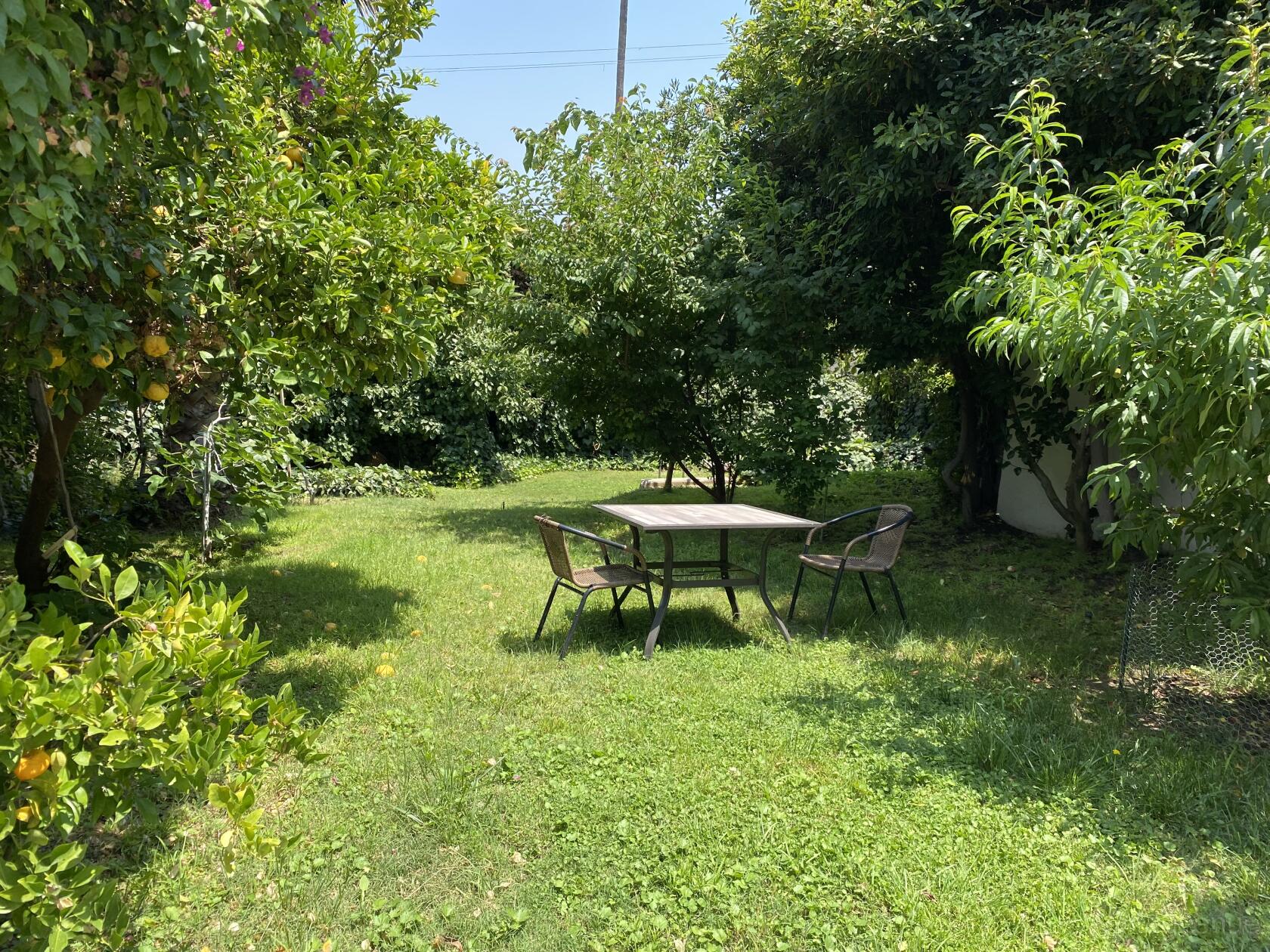An outdoor space with a grassy lawn, surrounding trees, and a small table with three chairs at LA Manor.