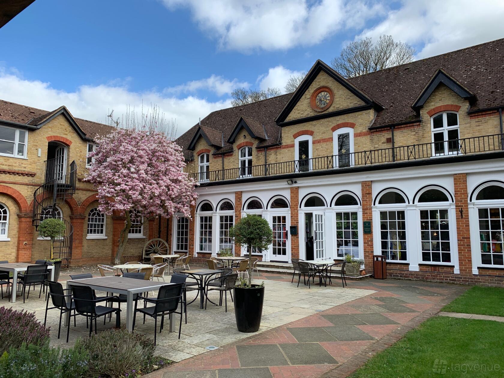 A golf club courtyard with patio seating, potted trees, and a blooming cherry blossom tree at Badgemore Park.