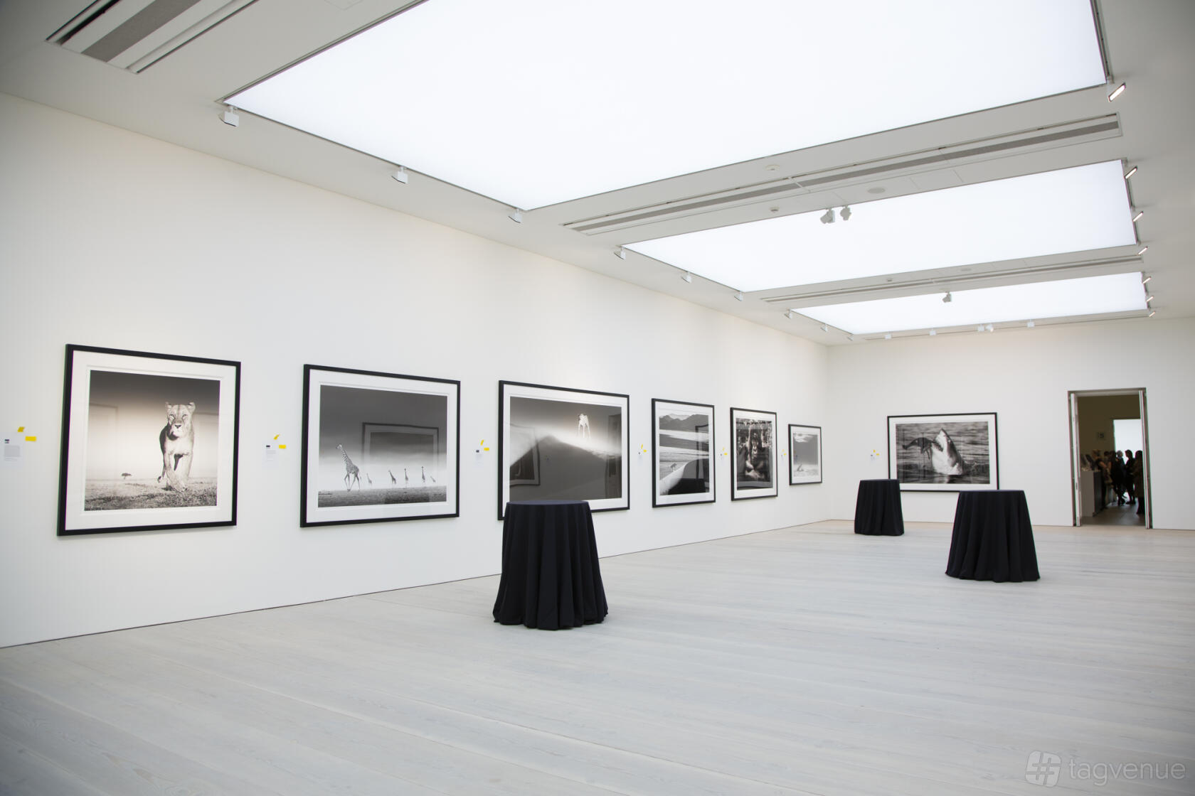Saatchi Gallery Venue Hire in London | Photos & Prices