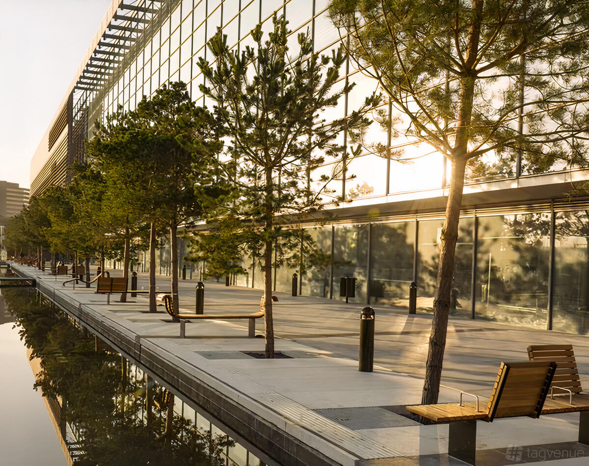 An outdoor conference centre area with a tree-lined promenade, wooden benches, and glass facade at Millennium Point.