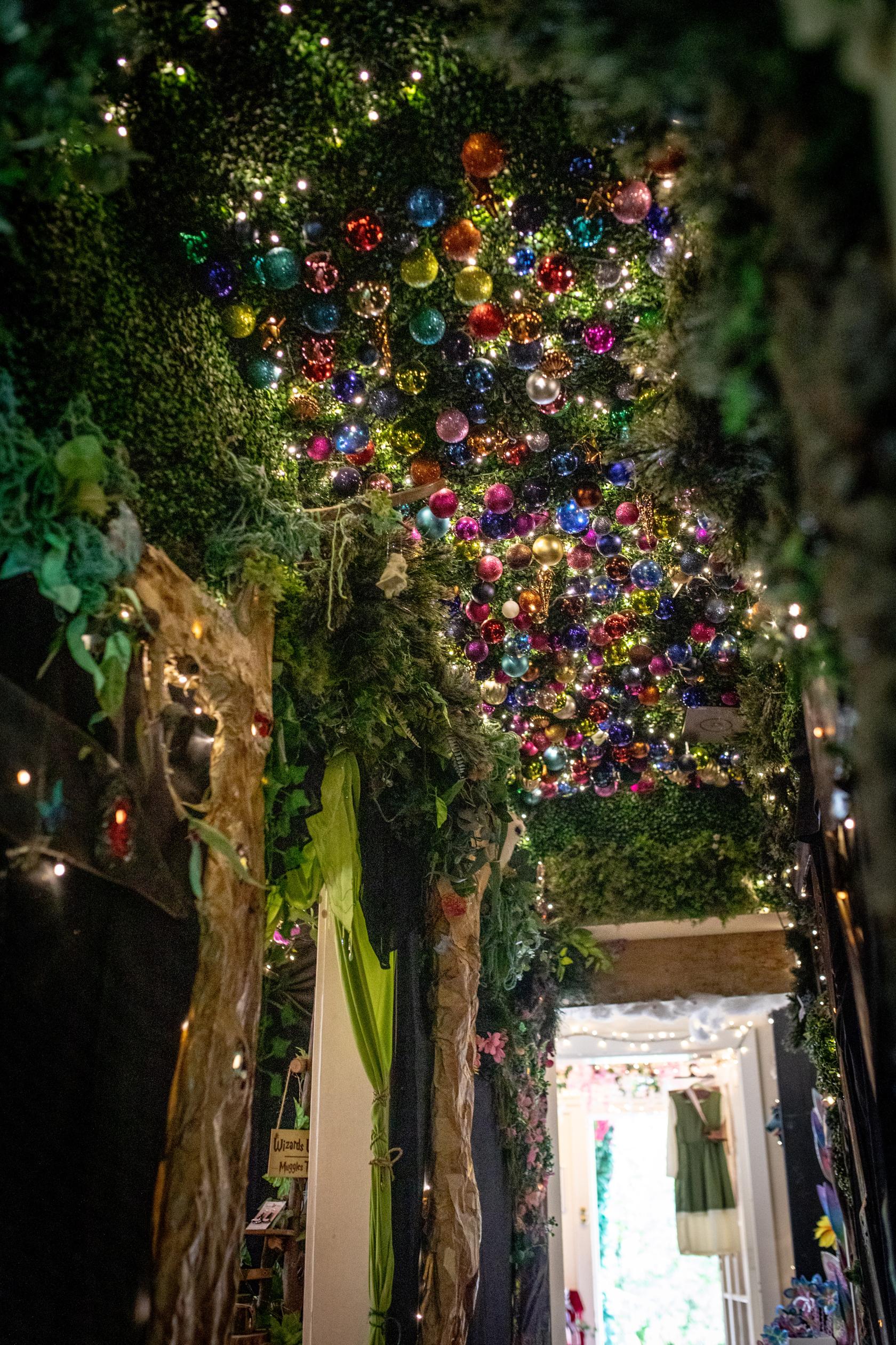 Curious Events True Fairies - Curious Events Co - Event Venue Hire - Tagvenue.com