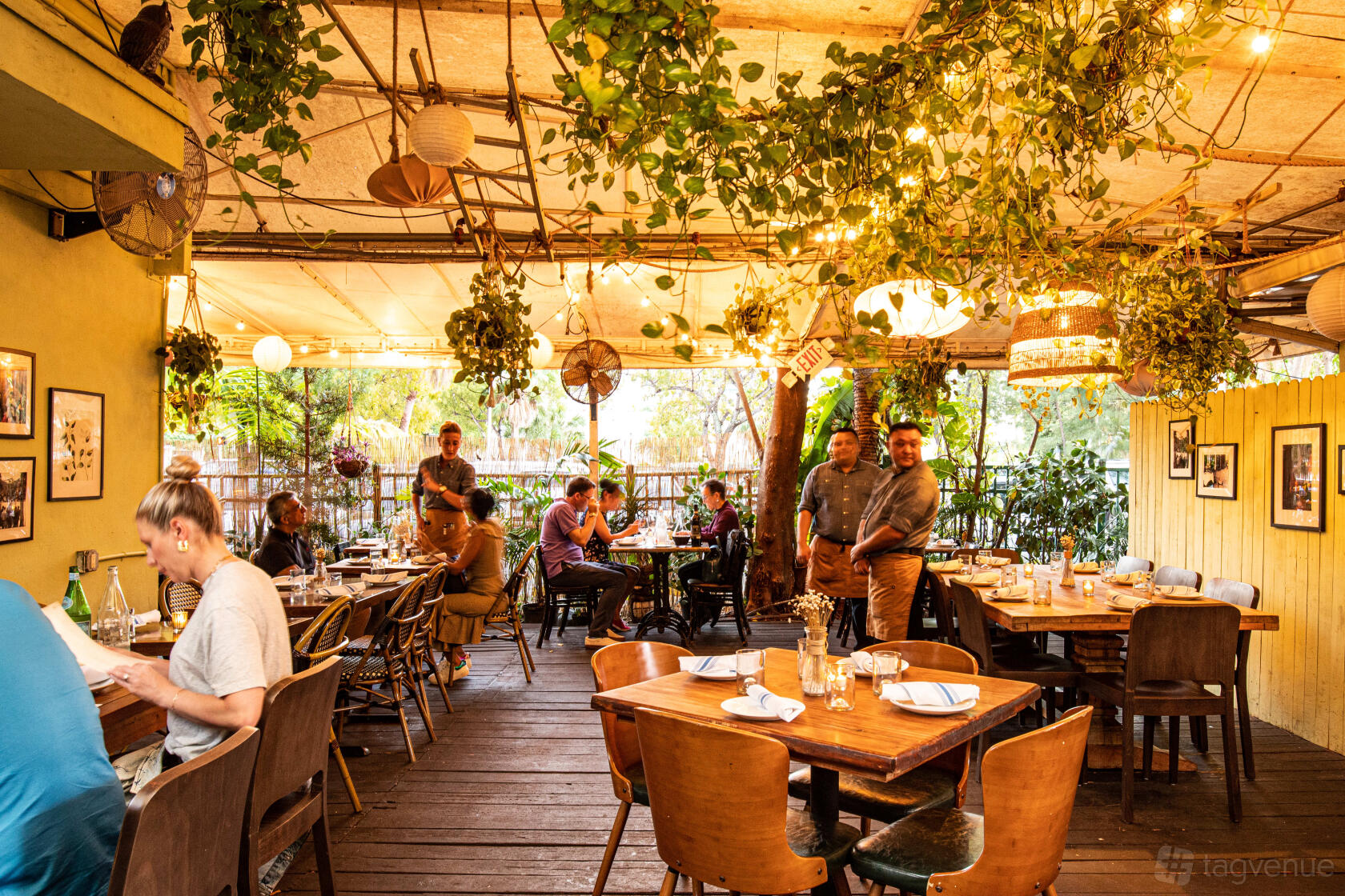 A restaurant with hanging greenery, string lights, and wooden tables set with dinnerware at Macchialina.