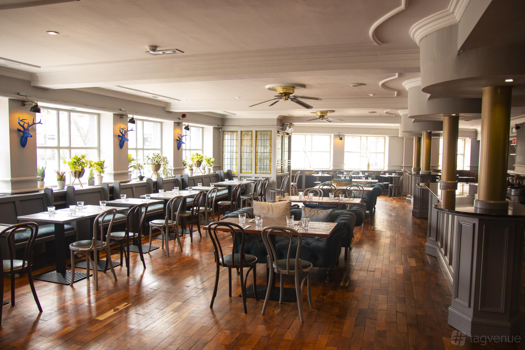 A pub function room with wooden floors, large windows, long dining tables, and bentwood chairs at The Donnybrook Gastropub.