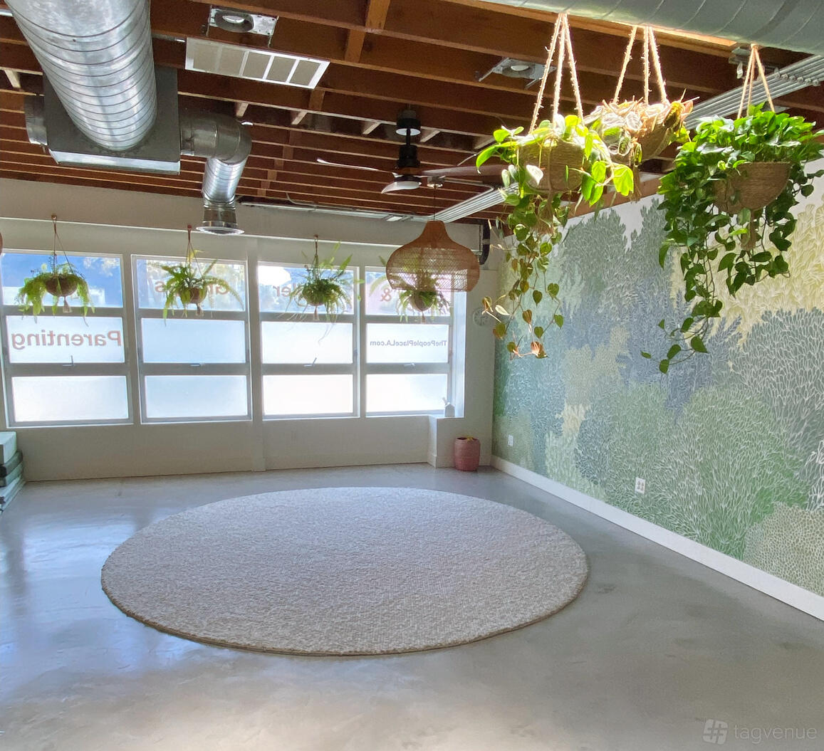 An event venue studio with large windows, hanging plants, exposed ceiling pipes, and a round rug at The People Place.