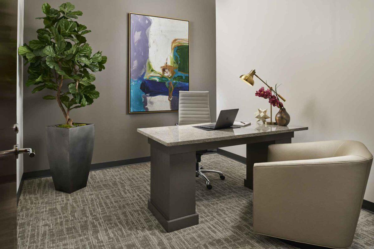 A meeting room with a large desk, modern chairs, potted plant, abstract artwork, and table lamp at NorthPoint Executive Suites, Alpharetta.