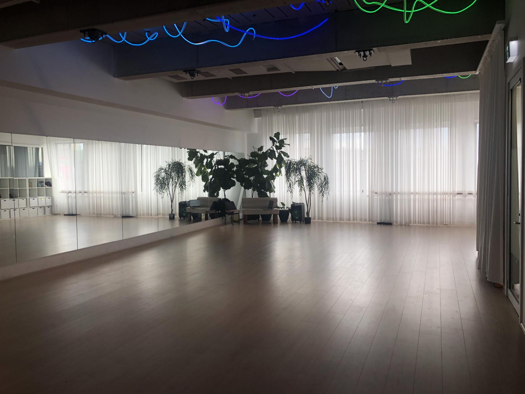 A dance studio with floor-to-ceiling mirrors, hardwood floors, sheer curtains, and potted plants at Elevate Studios.