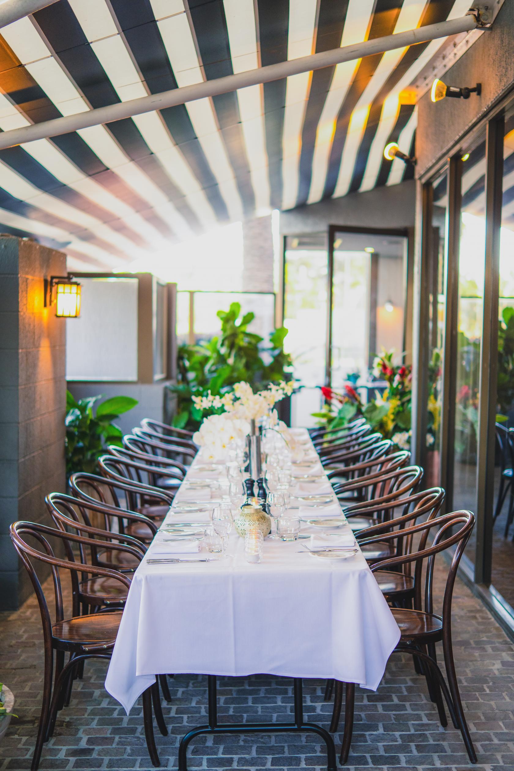 A function room with a long table set for dining, bentwood chairs, glass doors, and lush potted plants at View Brisbane.