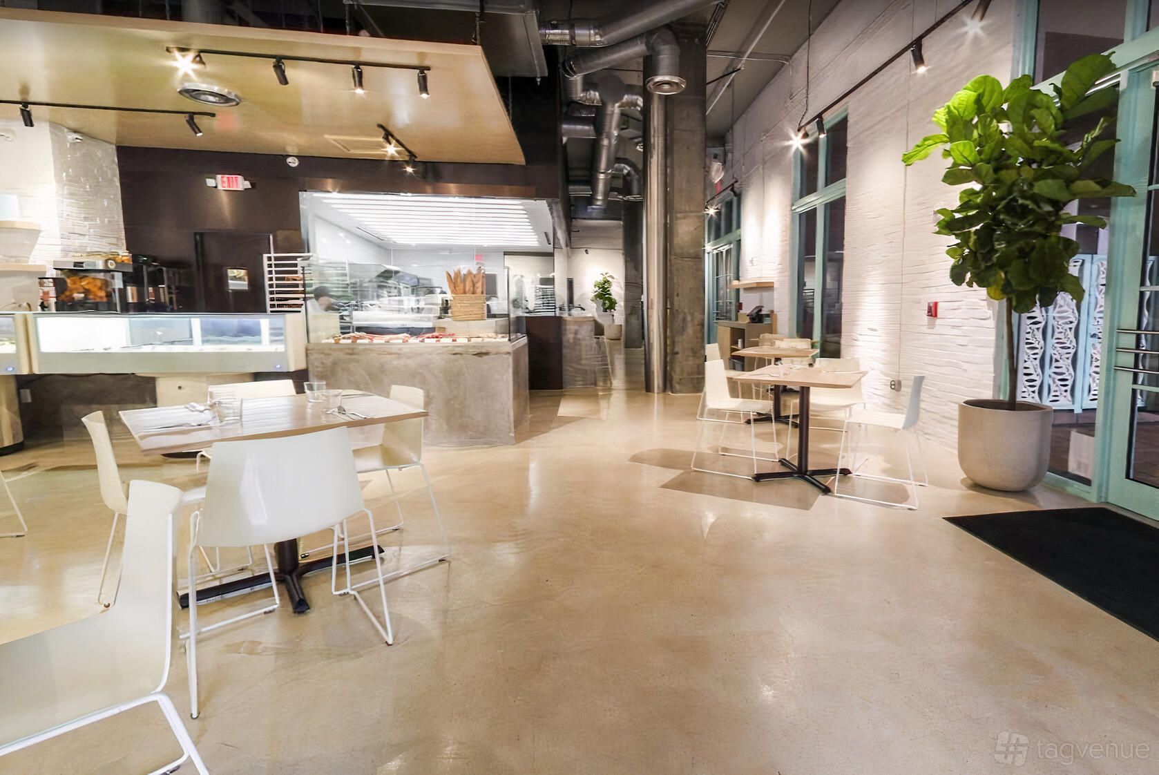 A restaurant dining room with polished concrete floors, white tables and chairs, and large potted plants at Bachour.