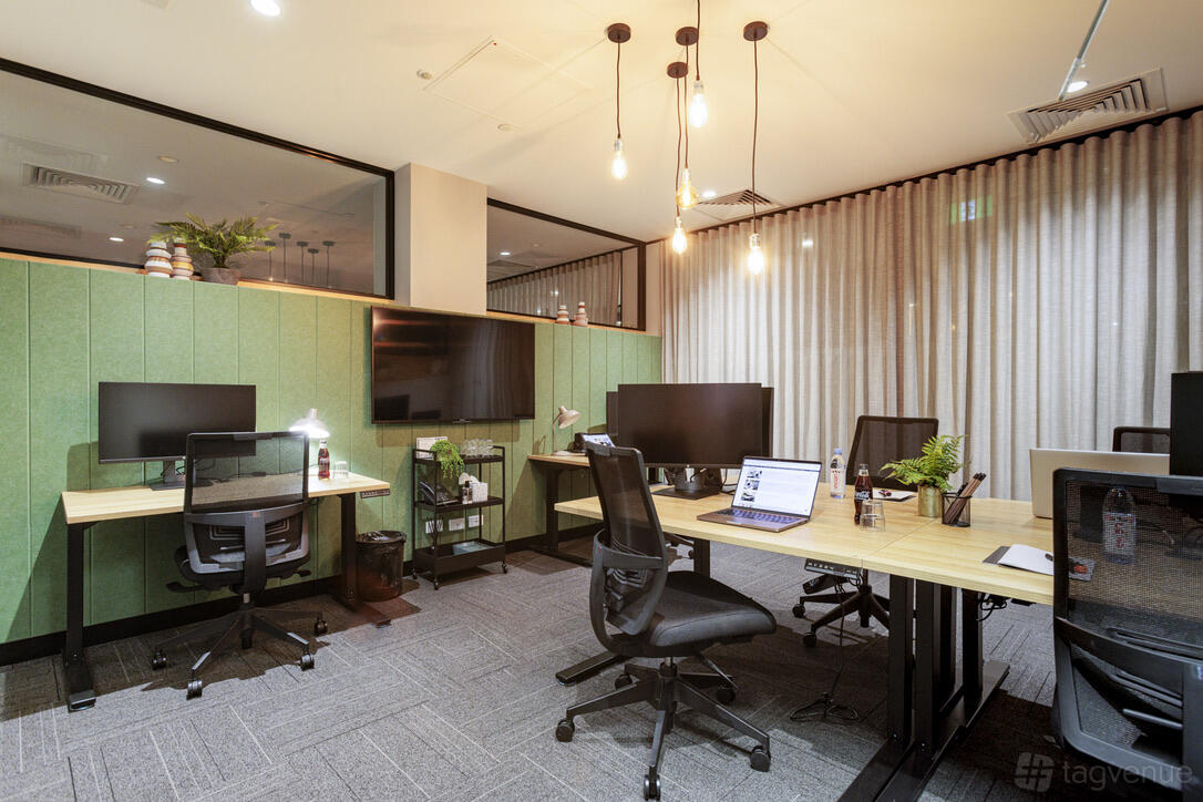 An office space with six desks, ergonomic chairs, desktop monitors, hanging lights, and green partition walls at United Co. Fitzroy.