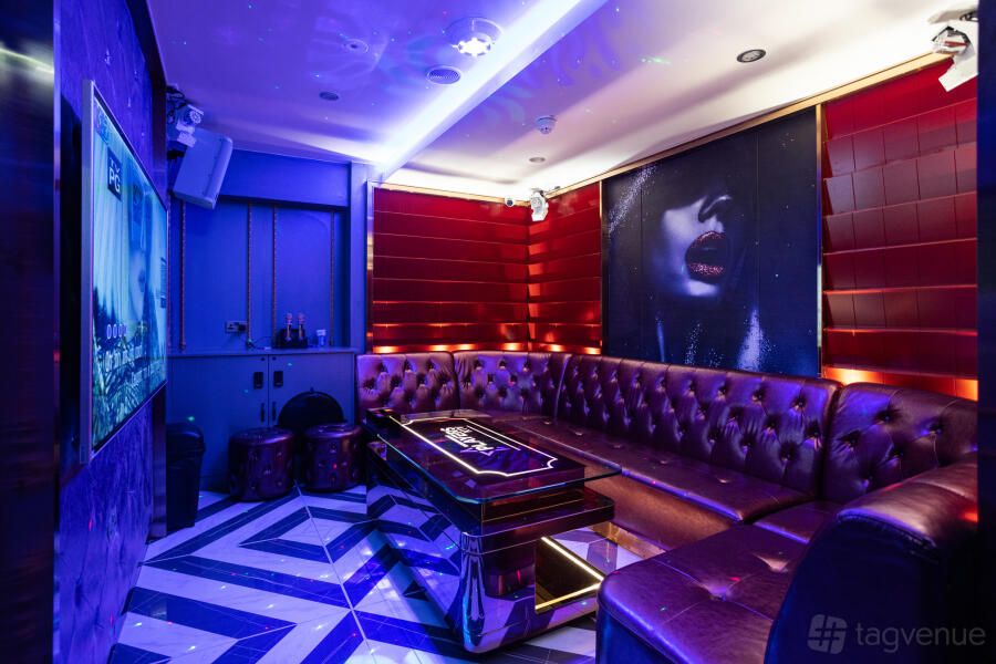 Karaoke/Party Room Deluxe 307 at