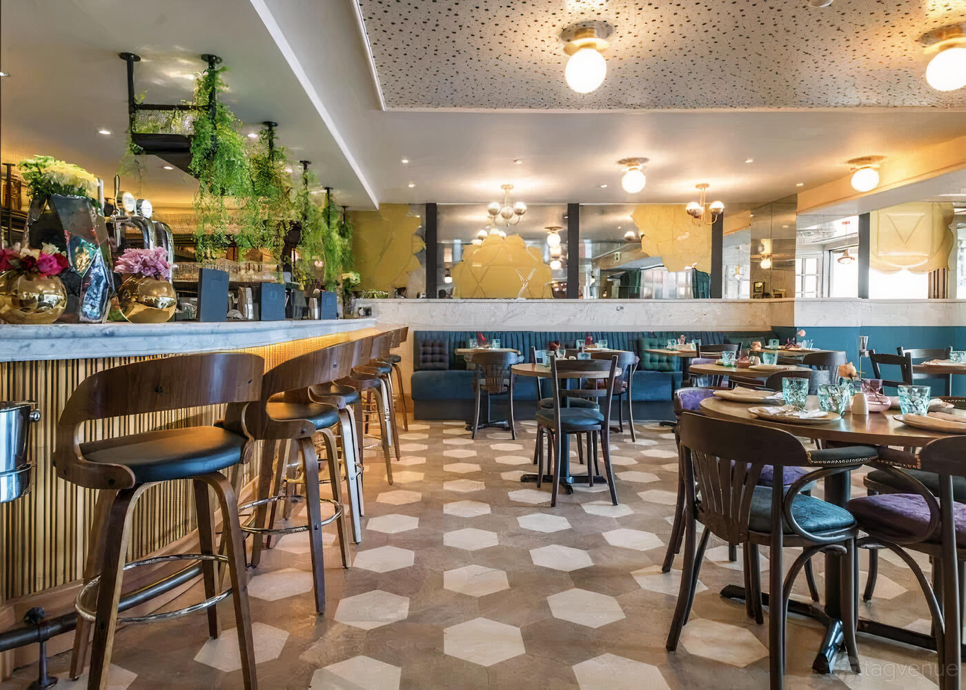 A restaurant with hexagonal tile flooring, hanging greenery, and wooden tables with cushioned chairs at Chakra Kingston Upon Thames.