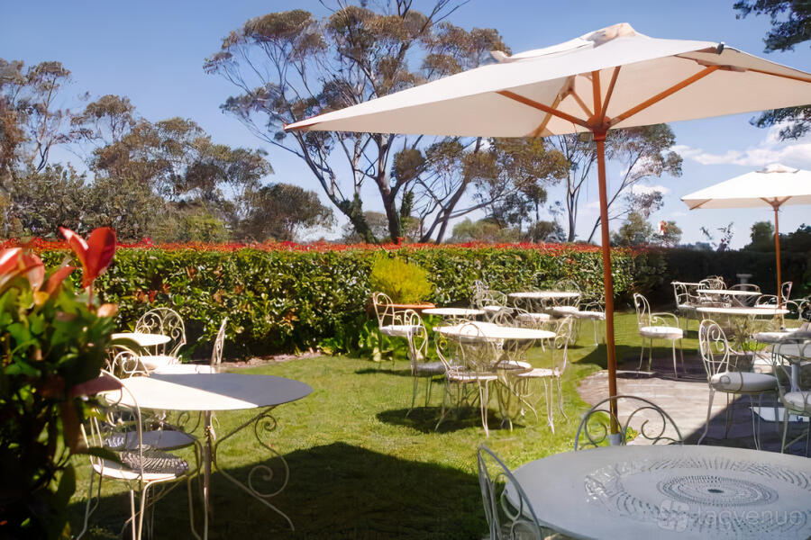 Banksia Courtyard Banksia Courtyard