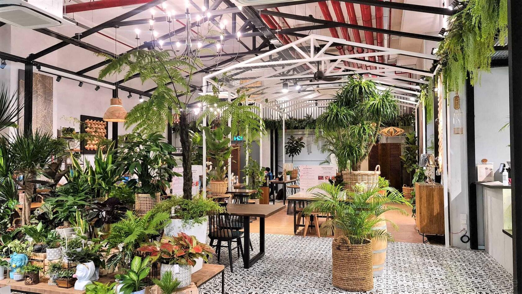 A cafe with abundant potted greenery, patterned tile flooring, and wooden tables at Knots Cafe and Living (Pasir Panjang).