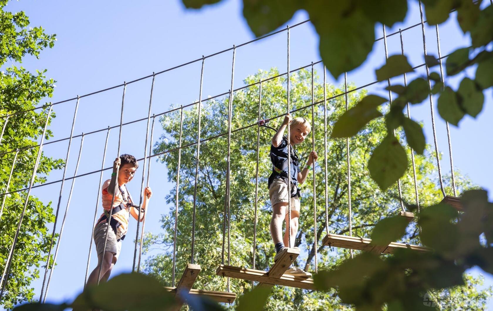 An outdoor adventure course with rope bridges and wooden platforms among tall trees at Go Ape Moors Valley.
