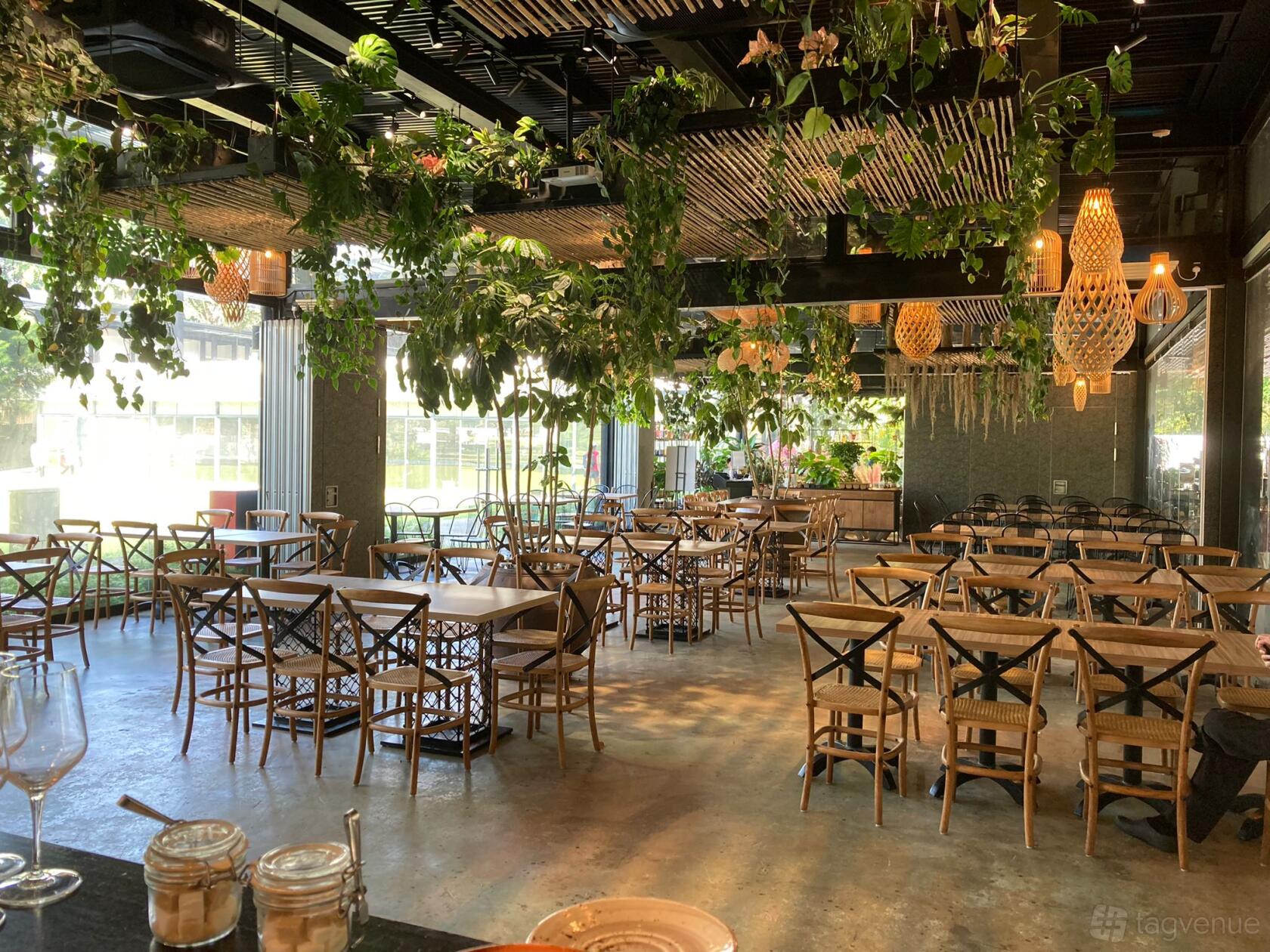 An indoor event space with wooden tables, cross-back chairs, hanging plants, and woven pendant lights at Canopy HortPark.