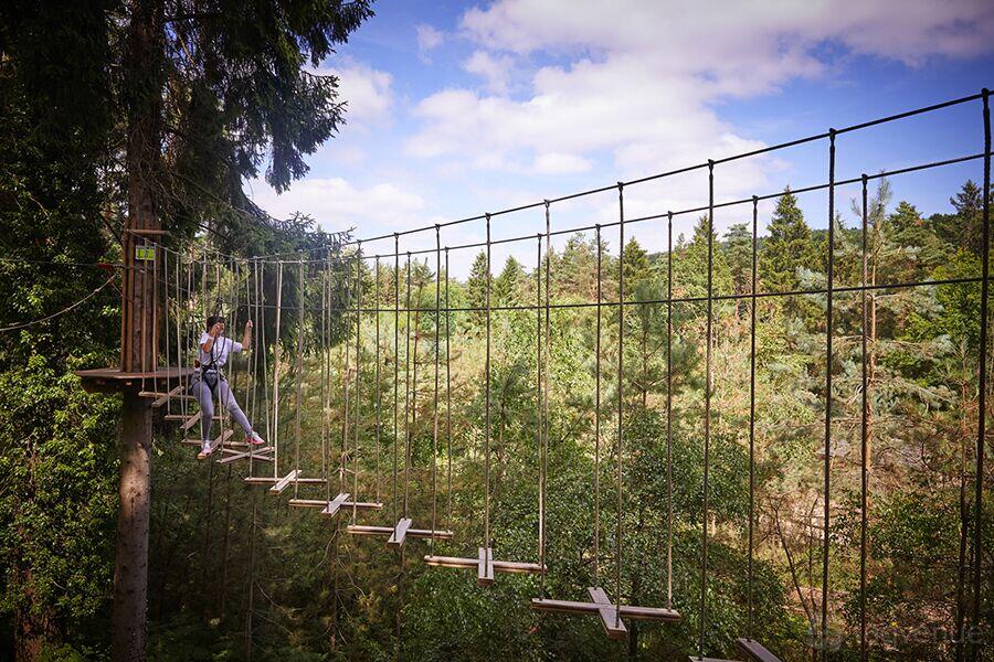 Treetop Adventure Treetop Adventure
