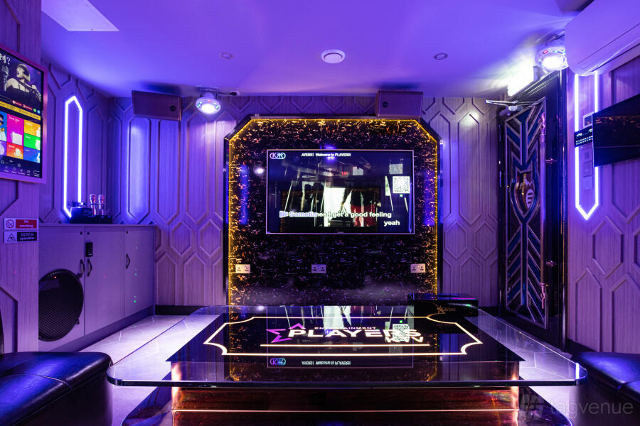 Karaoke/Party Room Deluxe 301 at