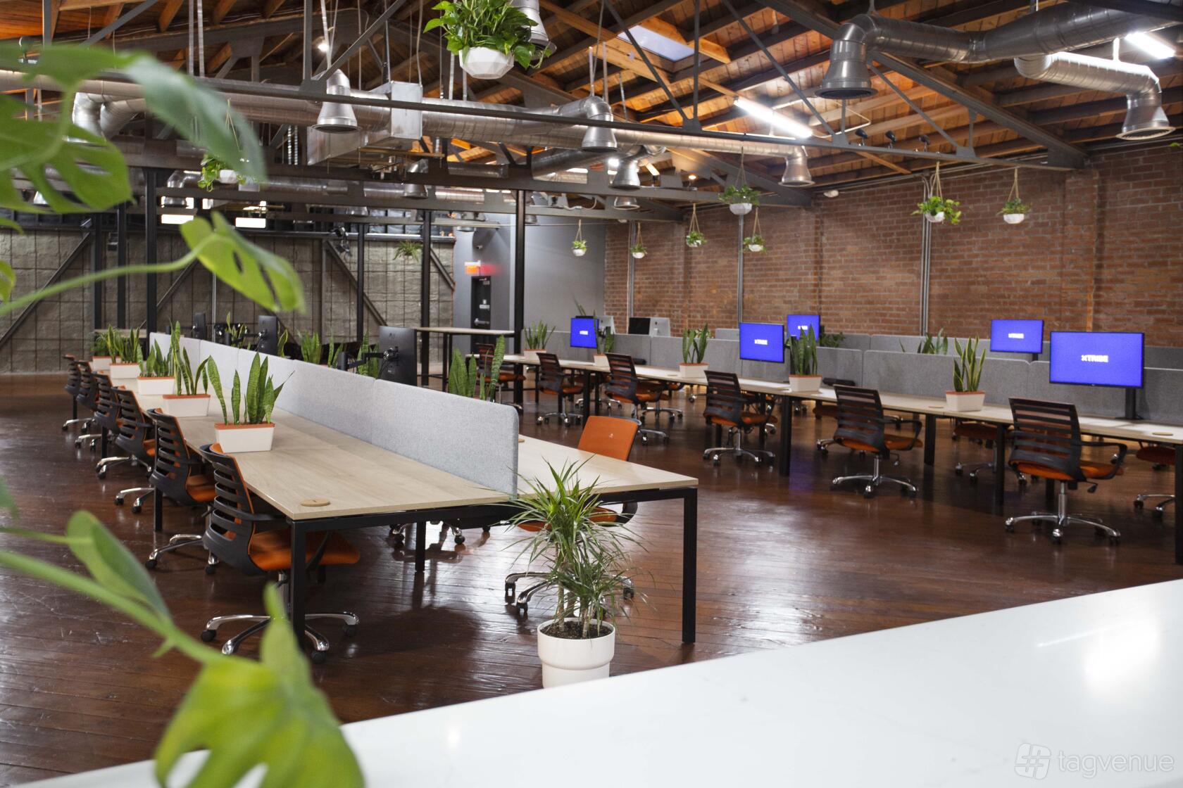 A photo studio with rows of desks, orange chairs, exposed brick walls, and plants at xTribe.
