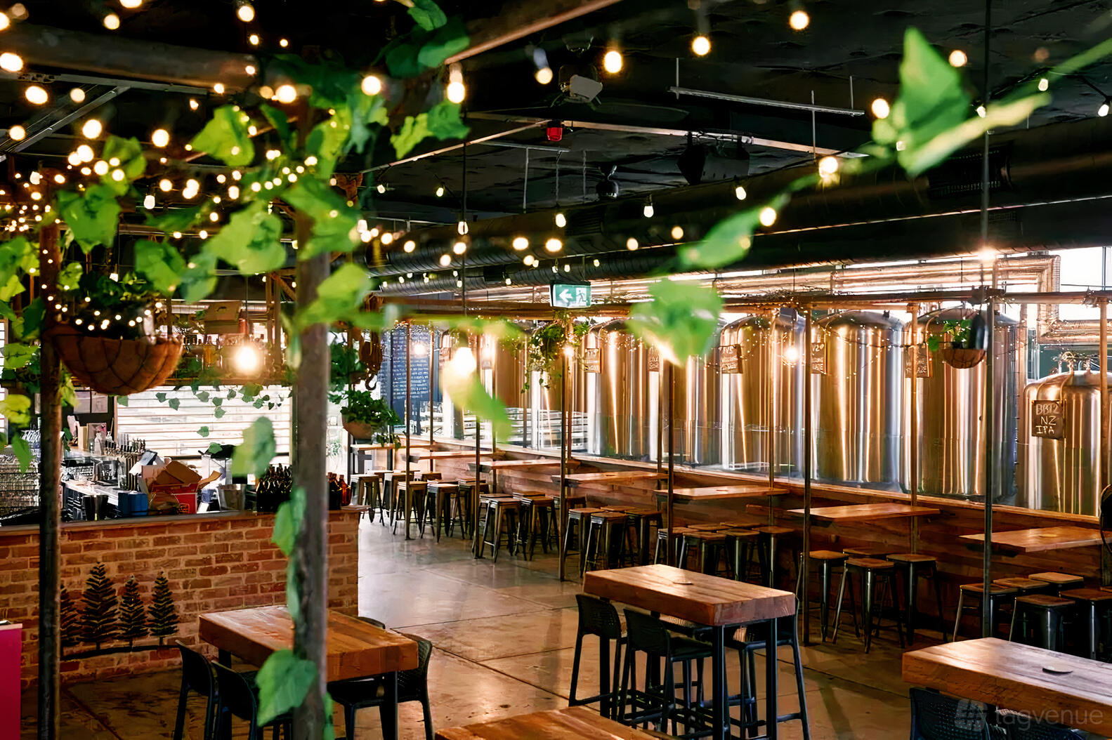 An event space in a brewery with hanging plants, string lights, and stainless steel brewing tanks at Welcome to Brunswick.