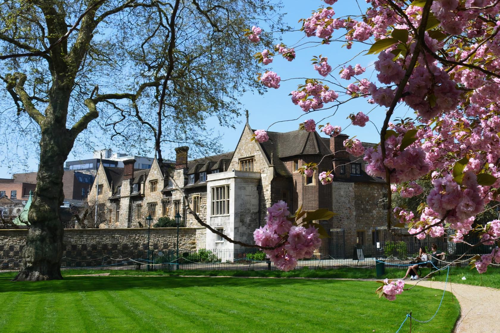 A historic garden with manicured lawns, blossoming cherry trees, and stone buildings at The Charterhouse.