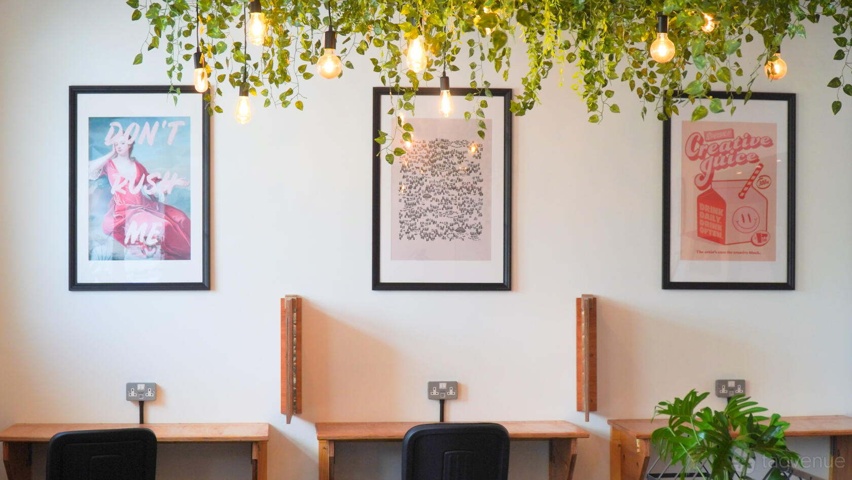 A coworking space with wooden desks, framed art, and hanging greenery with exposed bulbs at Maggie O'Neill Business and Training Centre.