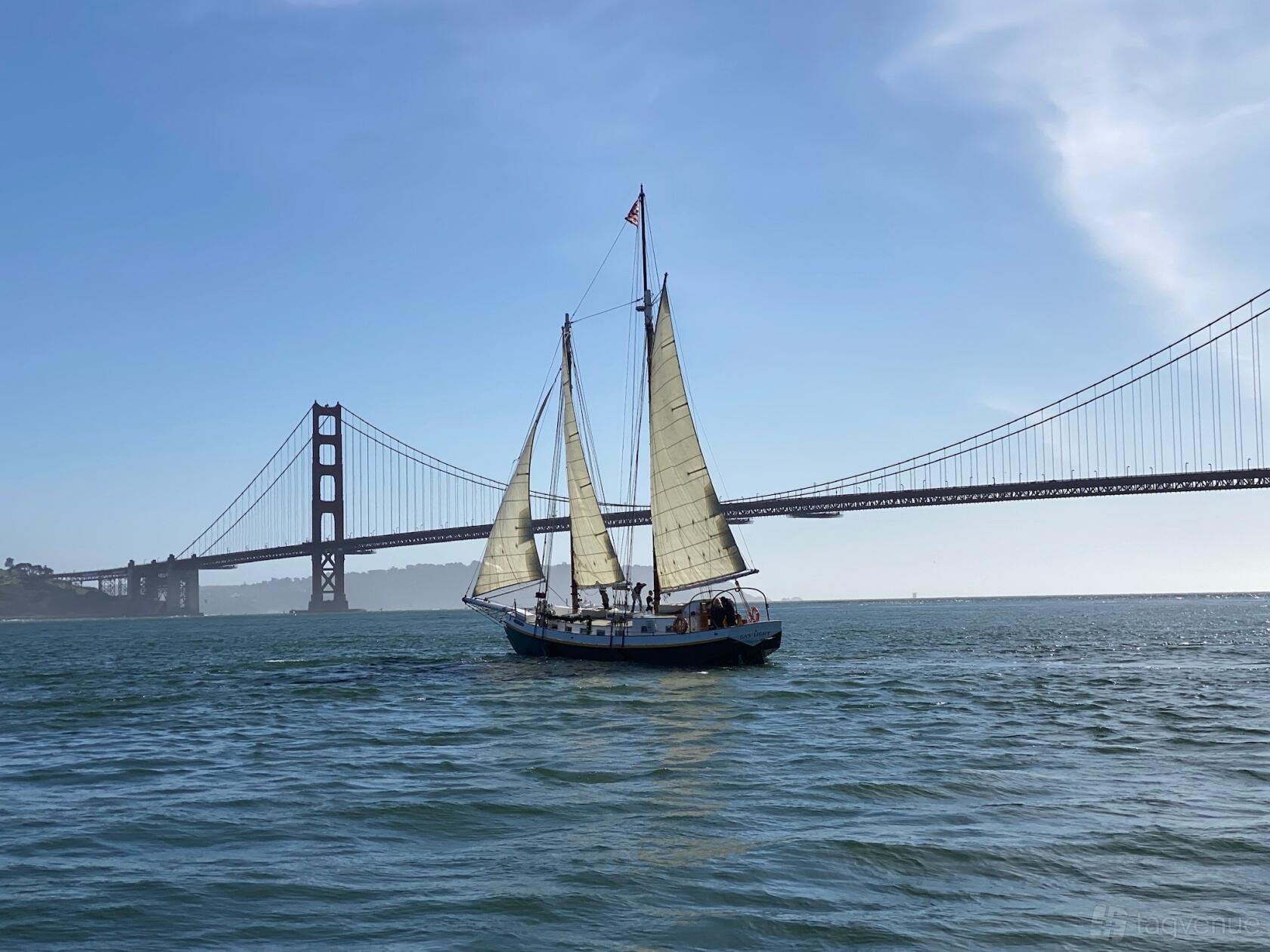 A sailboat with white sails on open water, passing near the Golden Gate Bridge at Gas Light.