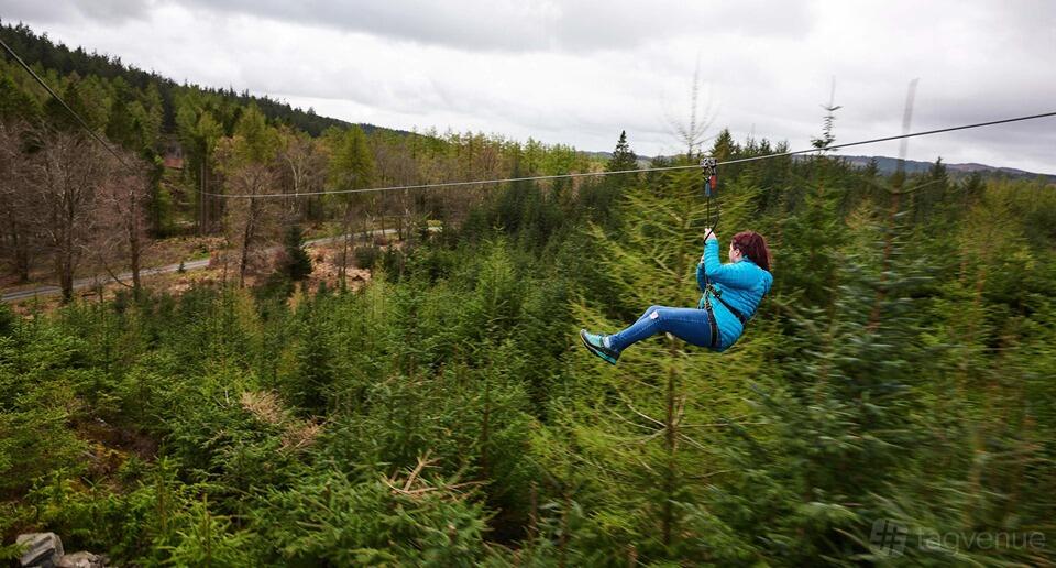 An outdoor event venue with treetop zip lines winding through dense forest at Go Ape Grizedale.