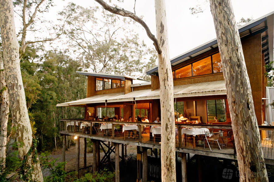 Whole Venue at Paperbark Camp