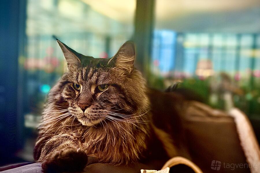 Beautiful view of Luxury Urban Penthouse Apartment Wedding Venue