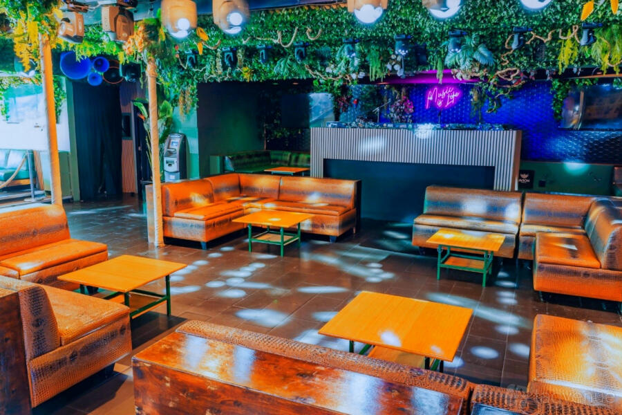 Jungle Hollywood Jungle Hollywood
