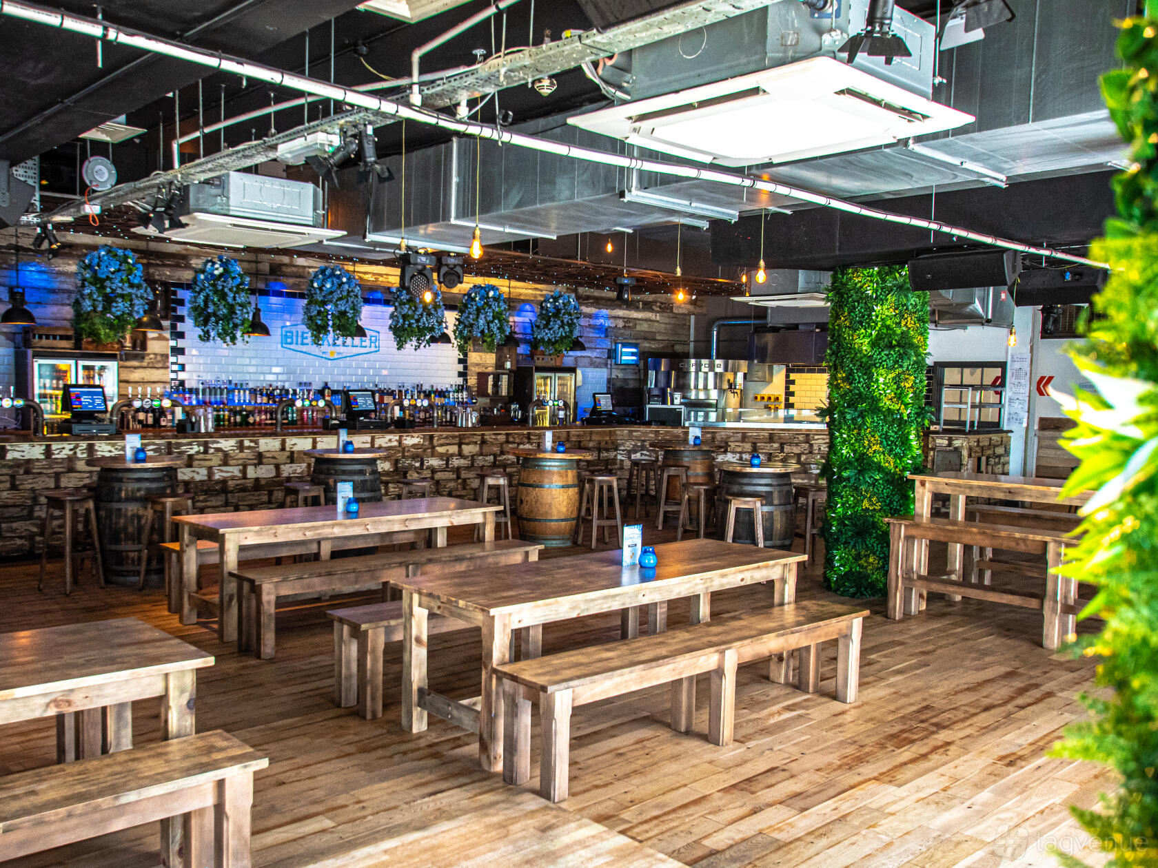 An event space in a bar with wooden tables and benches, exposed brick walls, and hanging greenery at The Bierkeller Liverpool.