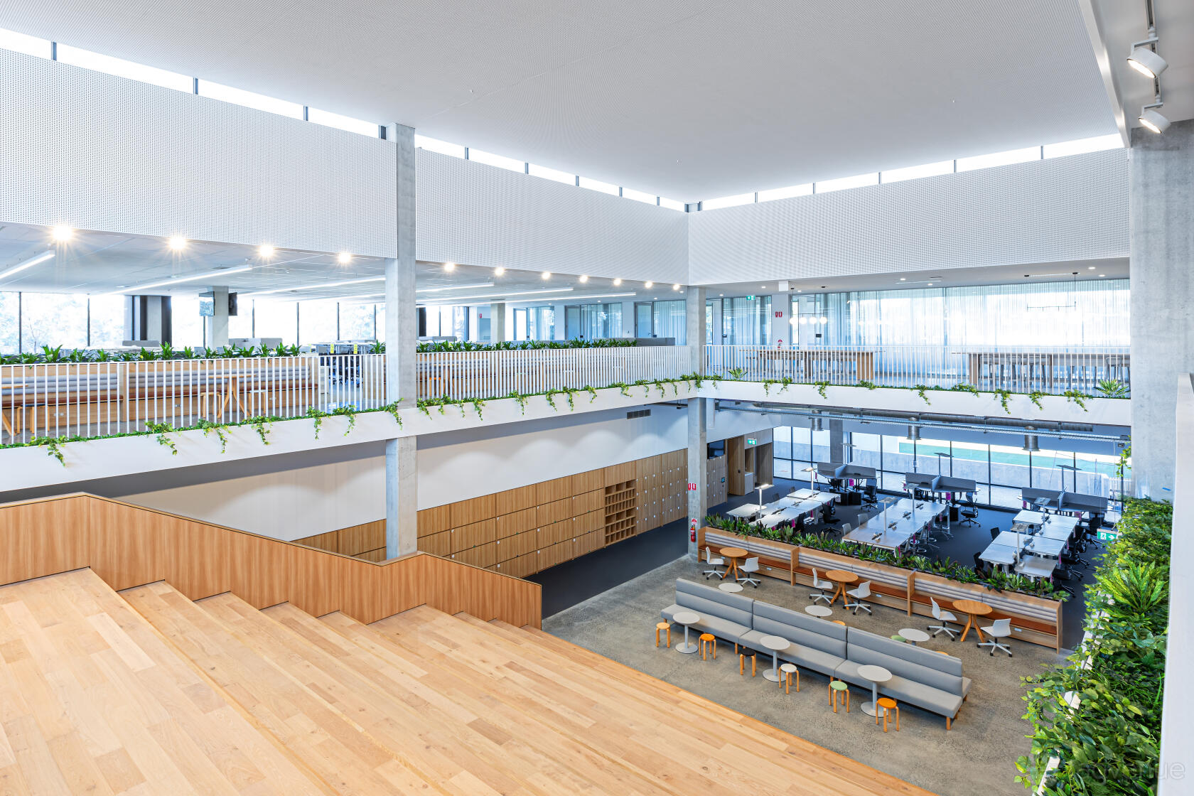 An auditorium with tiered wooden seating, open balconies, greenery accents, and floor-to-ceiling windows at Cricket Central.