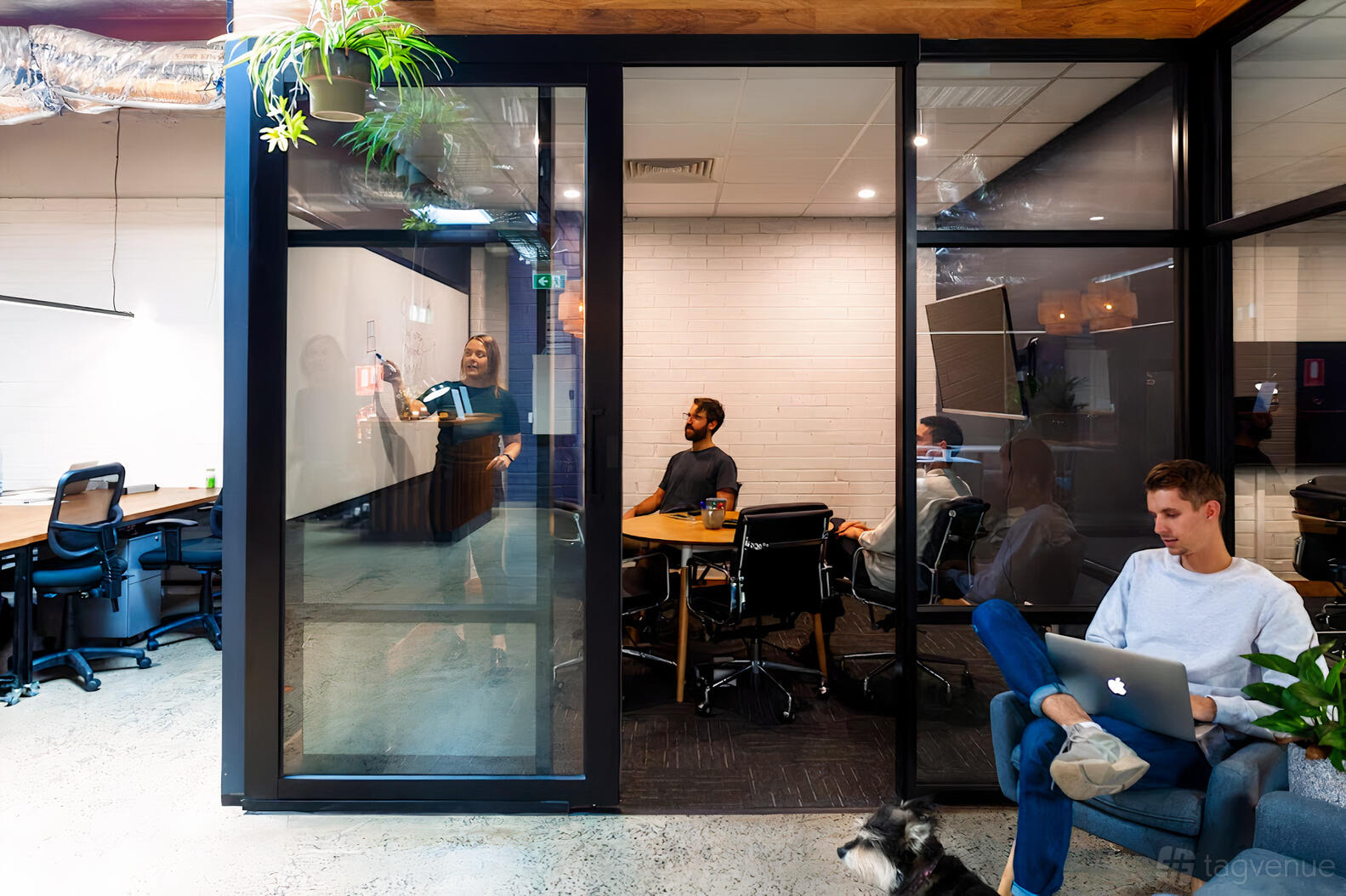 A coworking space with meeting rooms featuring glass walls, shared desks, and indoor plants at Engine Room Balaclava.