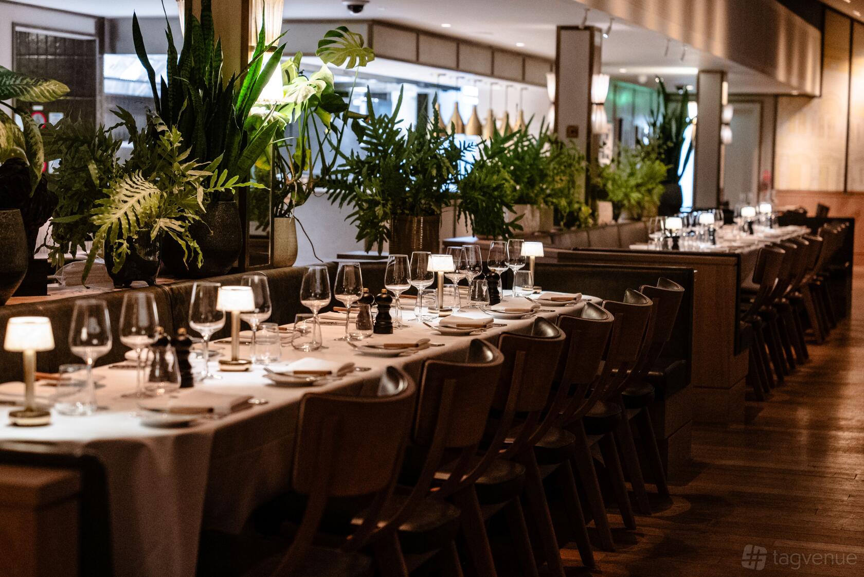 A restaurant dining area with long tables set with white linens, glassware, and greenery at The Portrait Restaurant By Richard Corrigan.