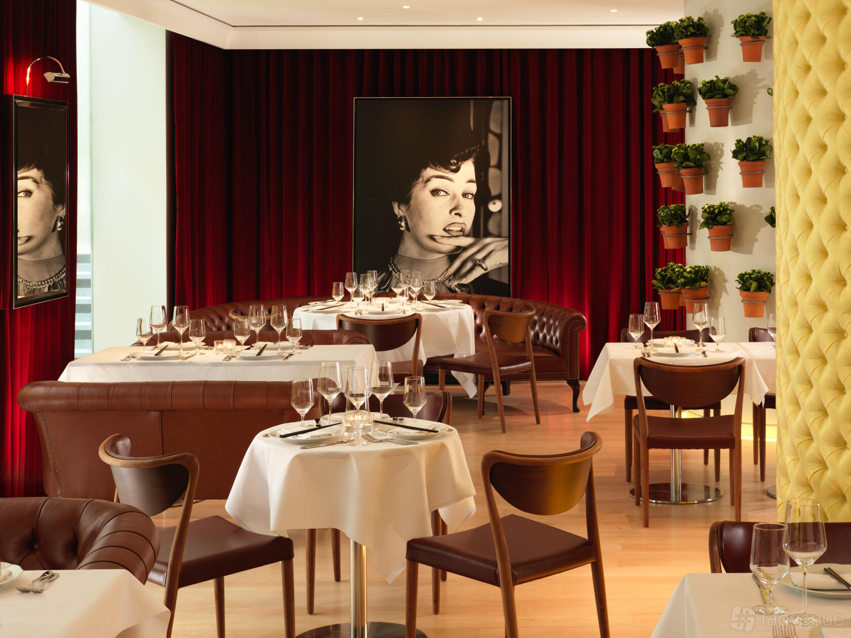 A hotel restaurant with round tables set with white linens, brown leather chairs, and potted plants on the wall at St Martins Lane London.